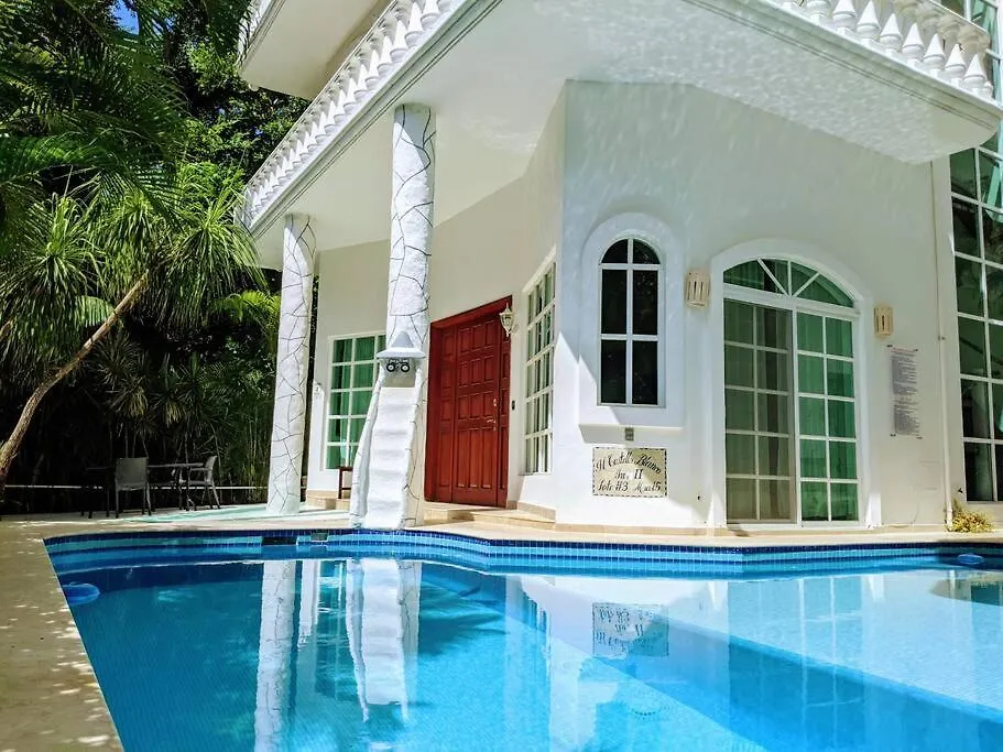 9Br 6Ba Large Groups! Best Location In Town Walk To Beach, 5Th Ave Cozumel Ferry, Shopping, Nightlife! Roof Plunge Pool!! Castillo Playacar Fase 1 25Max プレヤデルカーメン