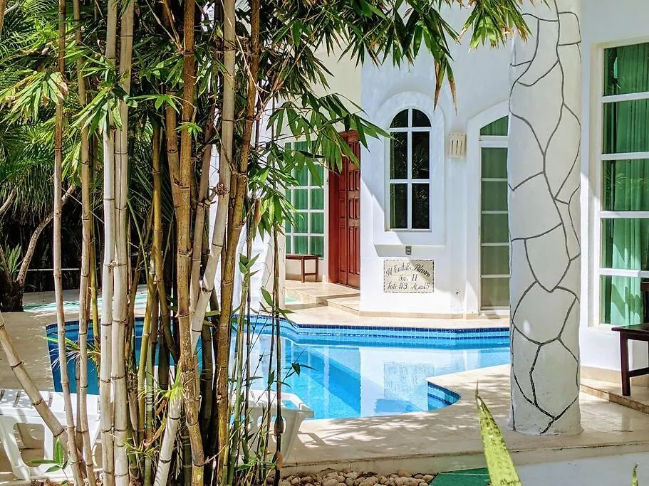 Castillo Playacar: Large Group Beachfront Villa with Rooftop Pool Playa del Carmen Holiday home